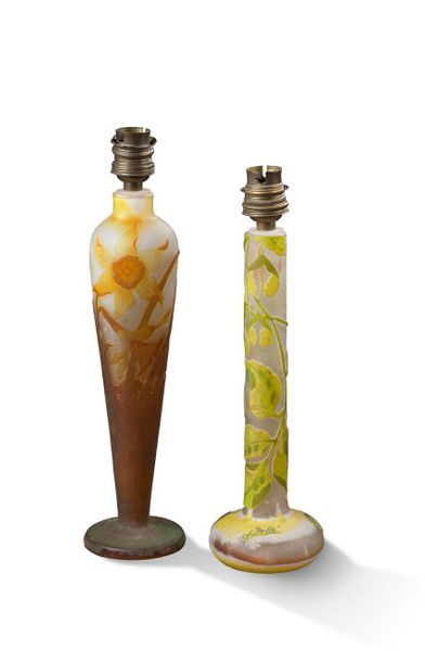 Etablissement GALLE (1904-1936) Deux vases montés en lampes
Epreuve en verre multicouche...