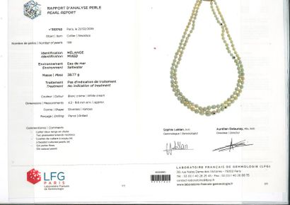 null Perle fine
Collier deux rangs de perles.
Pb.: 38.77gr
Accompagné d'un certificat...