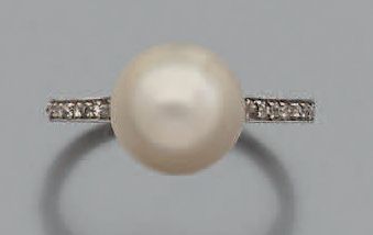 null Bague «perle fine» perle fine bouton, diamants taillés en rose, platine (950)....