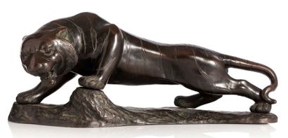 JAPON Sujet en bronze représentant un tigre la tête baissée, passant.
L. 52 cm