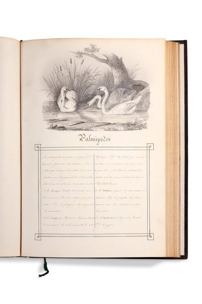 FOURCHY (Aminte). 1834-1866. Loocueil.
In folio. Chagrin noir; double filet à froid...