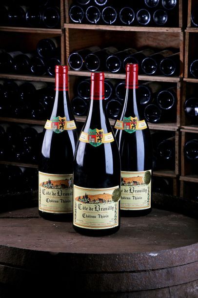 null 3 Mag Côte de Brouilly "Zaccharie" - 2009 - Château Thivin (Claude Geoffray)



-...
