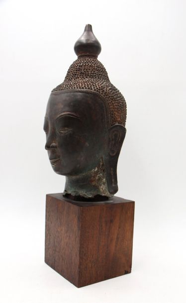 null Birmanie, Début XIXème





Tête de Bouddha en bronze, le visage esquissant...