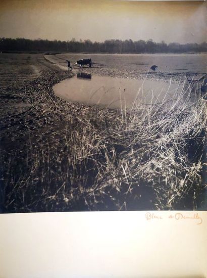 null Théo Blanc (1891-1985) et Antoine Demilly (1892-1964)

Labour

Tirage argentique...