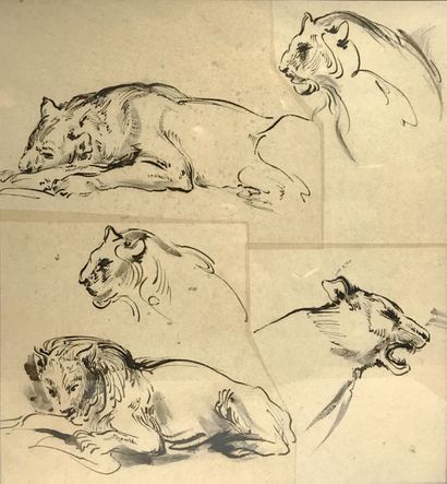 ALFRED DEHODENCQ (PARIS 1822 - N1882) 
Etude de lions et panthères
Deux dessins,...