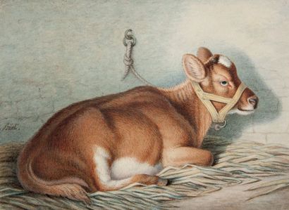 NICOLAS HUET DIT LE JEUNE (PARIS 1770 - 1830) 
Vache à l'étable
Plume et encre noire...