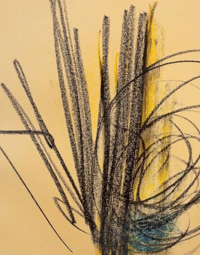 Hans HARTUNG (1904-1989) P1958-53, 1958

Pastel sur papier, signé et daté en bas...