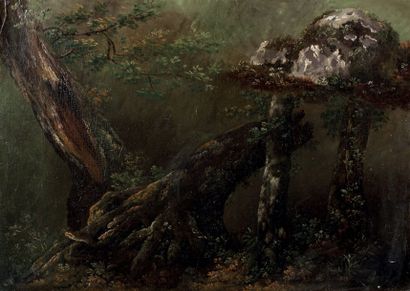 THOMAS FEARNLEY (HALDEN 1802 - MUNICH 1842) Etude d'arbres
Toile 37,5 x 52,5 cm