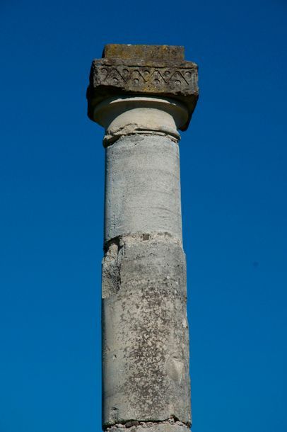 null Paire de grandes colonnes en pierre sur socle. Epoque 19e. Origines : Parc animalier...