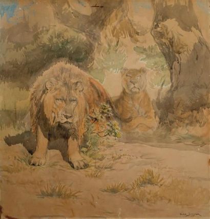 Rosa BONHEUR (1822-1899) Lion et lionnes Aquarelle Signée en bas à droite Au dos...