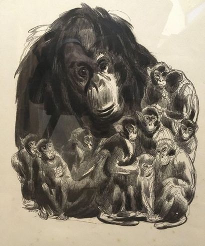 Paul JOUVE (1878-1973) Paul JOUVE (1878-1973) « les singes », Lithographie, Signée... Gazette Drouot