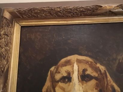 null Ecole française début XXe Portrait de chien 

Huile sur toile porte une signature...