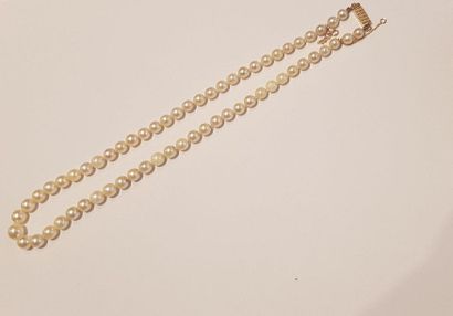 null Necklace made of slightly falling cultured pearls (dia. between 9 and 5.65 mm)....