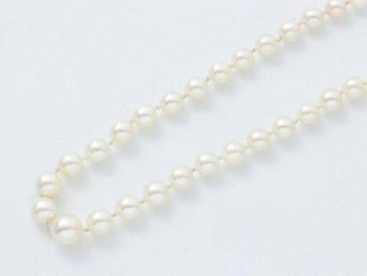 null Collier composé d'une chute de perles de culture d'environ 4.3 à 7.7 mm, agrémenté...