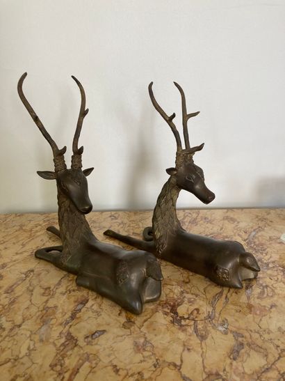 Deux cerfs en bronze 
H : 34 cm. ; L : 30...