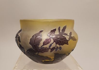 Frosted glass bowl with brown foliage decoration....