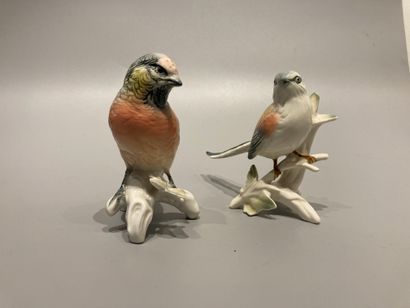 Karl ENS 
A set of two birds in Saxon porcelain...