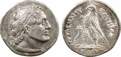 Égypte Ptolémée III, tétradrachme, Alexandrie, 246-221 av. J.-C. - A/Anépigraphe...