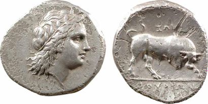 Lucanie Statère, Thurium, après 280 av. J.-C. - A/Anépigraphe - Tête laurée d'Apollon...