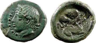 Sicile Hémilitron en bronze, Piakos, c.425-420 av. J.-C. - A/PIAKIWN - Tête laurée...