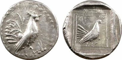 Sicile Drachme, Himéra, c.500-484 av. J.-C. - A/Anépigraphe - Coq debout à droite;...