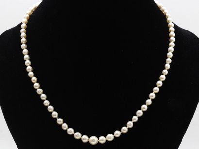 null Collier composé d'un rang de perles de culture en chute d'environ 4.9 à 7.9...
