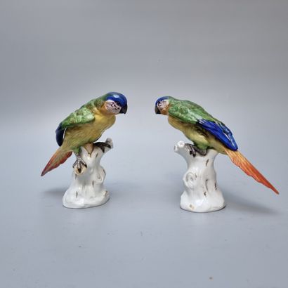 Two parakeets in saxony porcelain 
H: 14...