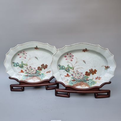 Company of the Indies

Pair of dishes with...