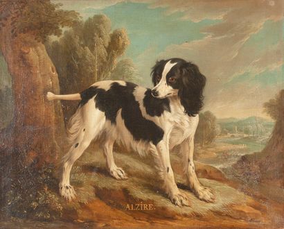null Christophe HUËT (Pontoise 1700 – Paris 1759)

Portrait d’Alzire, le chien de...
