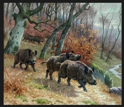 Rotig 
Three boars in the forest 
Gouache...