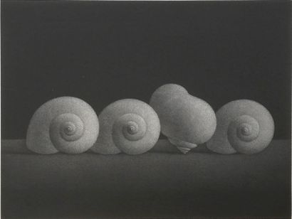 Frédéric VIDALENS (1925-2004) 
Escargot 
Lithographie...