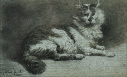 Armand POINT (1861-1932)

Lying cat

Charcoal...