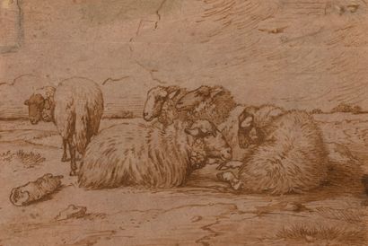 Dutch school, 18th century 
Sheep 
Pen and...