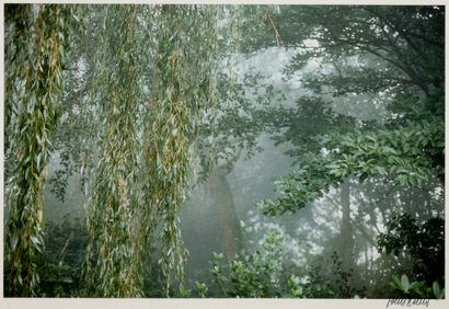  JOHN BATHO (1939-) 
"Giverny, octobre 1980. Série Jardin d'Octobre. Bord de l'étang,...
