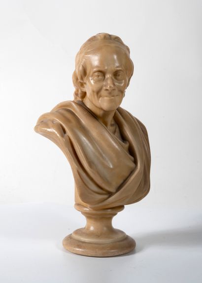  French school of the 19th century 
Bust of Voltaire 
Height: 24,5 cm. 
(chips)