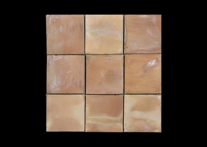  Tiles said of Gironde. 
In terracotta with a nuanced orange-yellow color. 
Format...