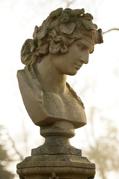  Antinous en Dionysos. 
Buste à l'antique le représentant légèrement de profil, le...