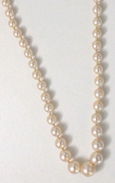 null Collier composé d'une chute de perles de culture d'environ 3 à 7.5 mm, agrémenté...