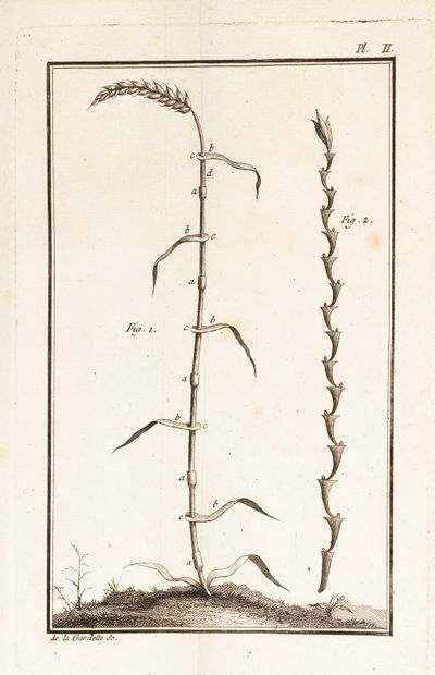  PONCELET (Père Polycarpe). Histoire naturelle du froment. Paris, G. Desprez, 1779....