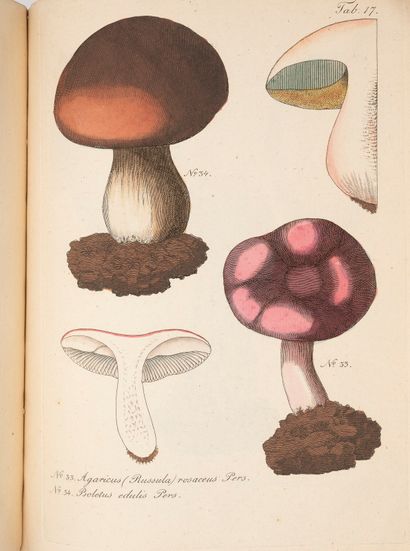 null TRATTINNICK (Leopold). Fungi Austriaci delectu singulari iconibus XL observationibusque...