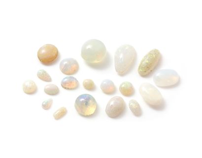 Lot composed of 19 opal cabochons on paper...
