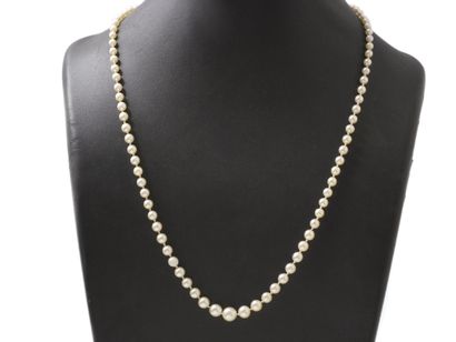 null Necklace made up of a fall of pearls of culture of approximately 3.5 to 7.4...