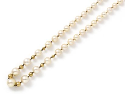 null Necklace composed of a fall of pearls of culture of approximately 3.7 to 8 mm,...