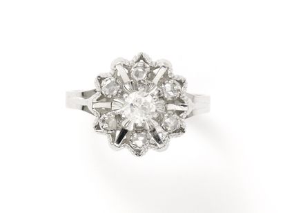 Ring in white gold 750 thousandth, stylizing...