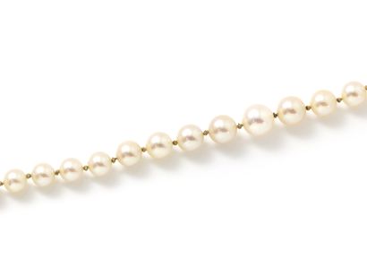 null Necklace composed of a light fall of cultured pearls of approximately 3.5 to...