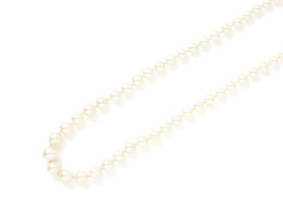 Necklace composed of a drop of cultured pearl...