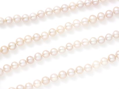 null Sautoir composé d'un rang de perles de culture légèrement rosées d'environ 9.4...