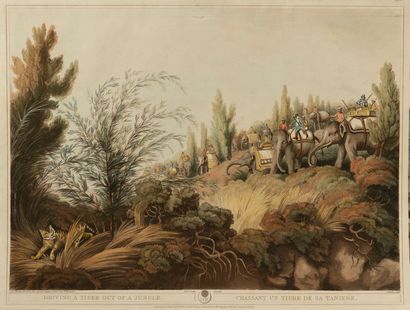 SAMUEL HOWITT (1756/7-1822): DRIVING A TIGER...