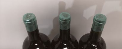 null 3 bouteilles YACOCHUYA Cafayate - M. ROLLAND Argentine - Millésime 1999 - Étiquettes...