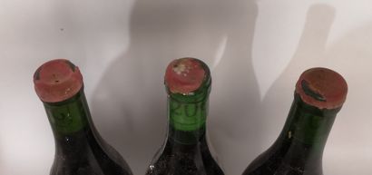 null 3 bouteilles CHAVIGNOL Rouge - François COTAT - Millésime 2005 - Étiquettes...